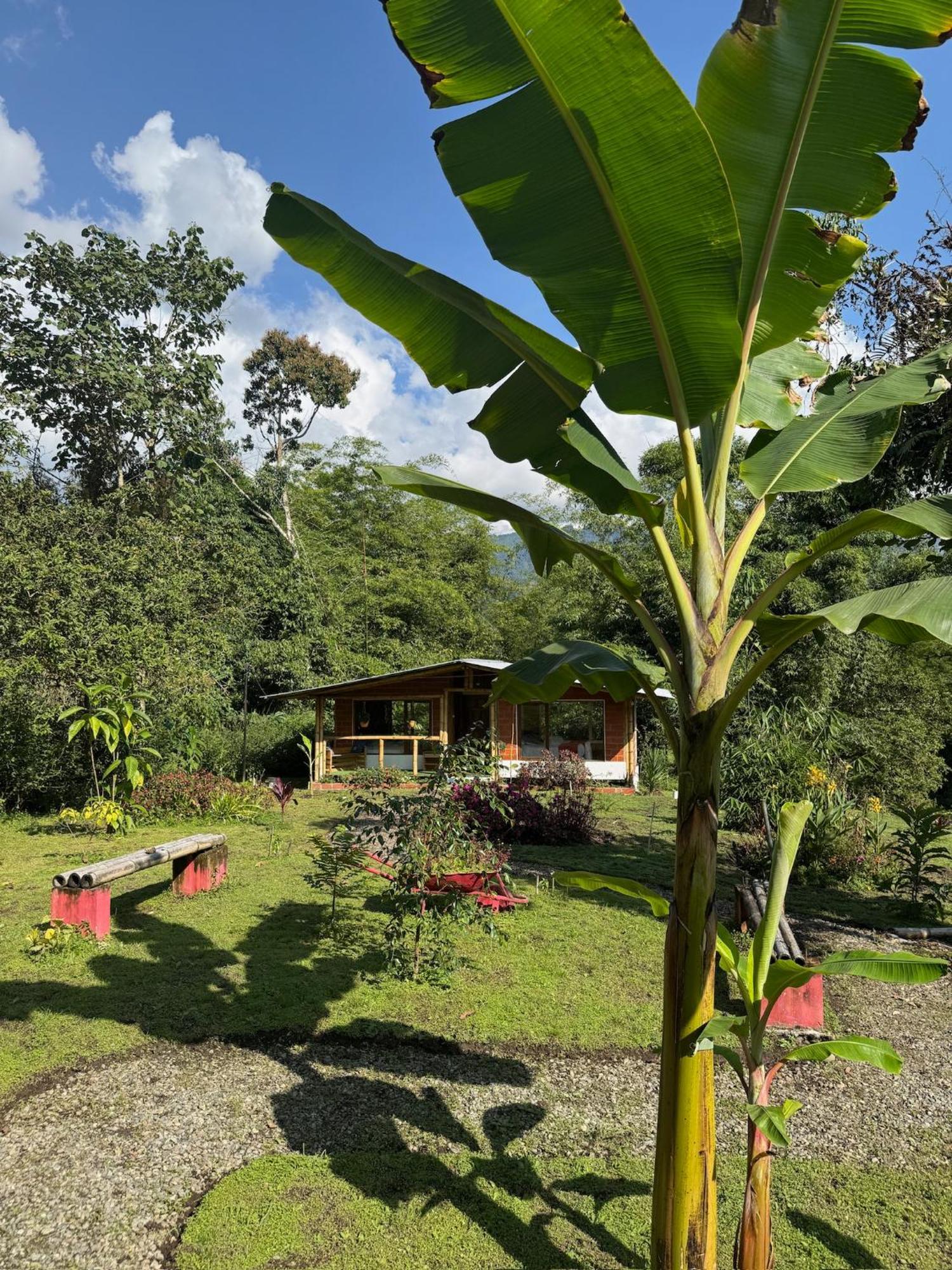 Green Bamboo Lodge San Francisco de Borja Exterior photo