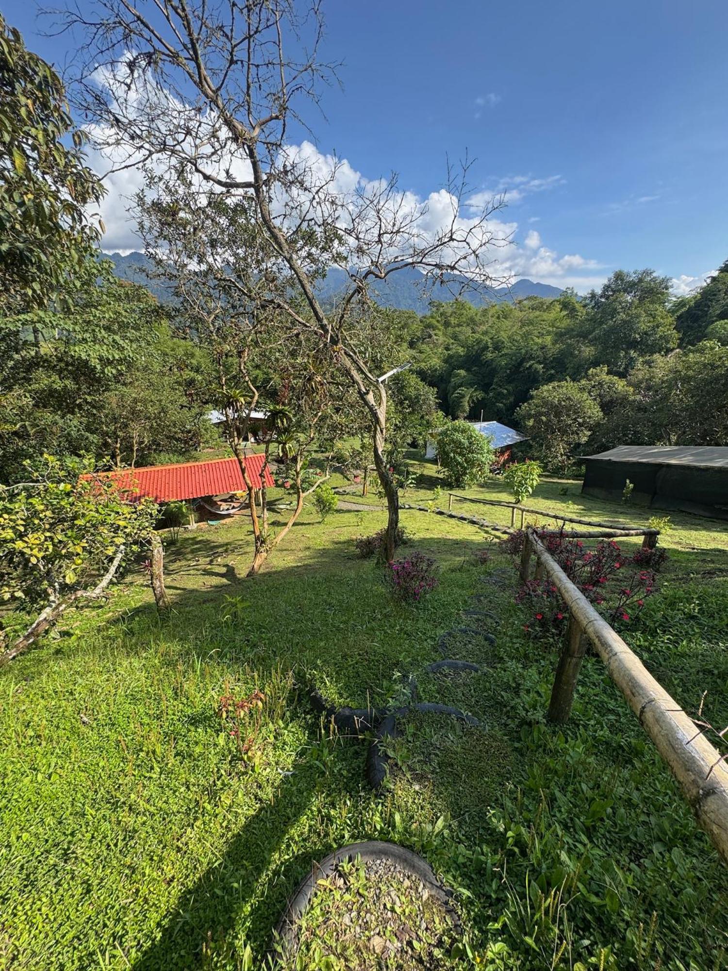 Green Bamboo Lodge San Francisco de Borja Exterior photo