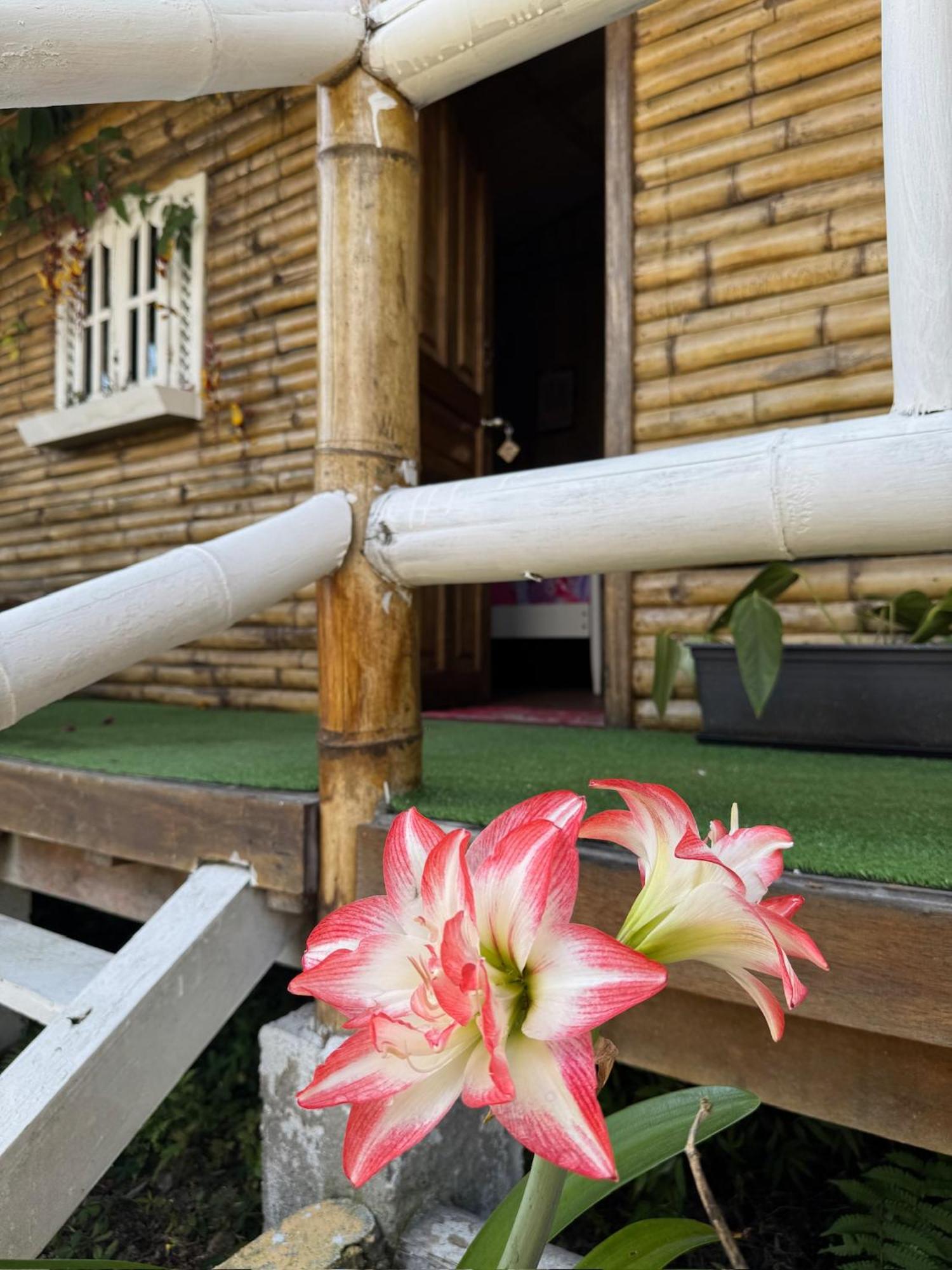 Green Bamboo Lodge San Francisco de Borja Exterior photo